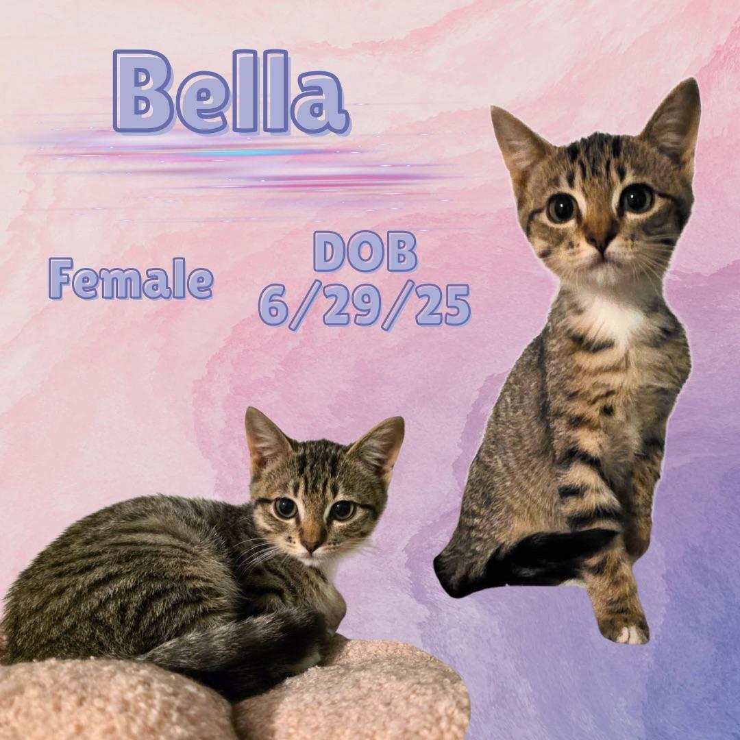 Bella
