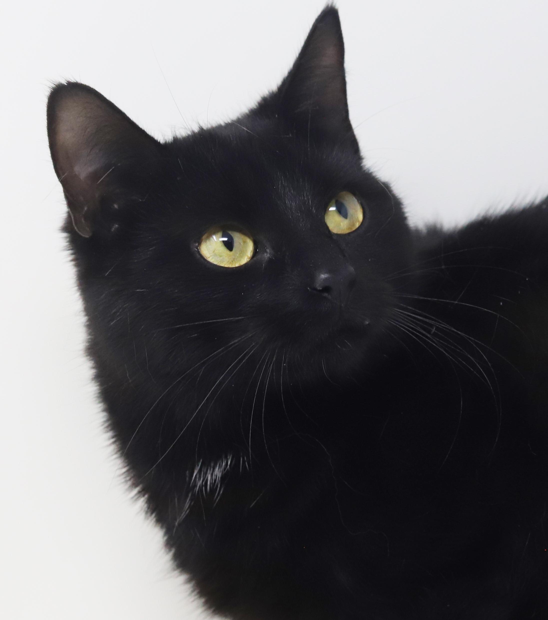 Preciosa Is Well... Precious!