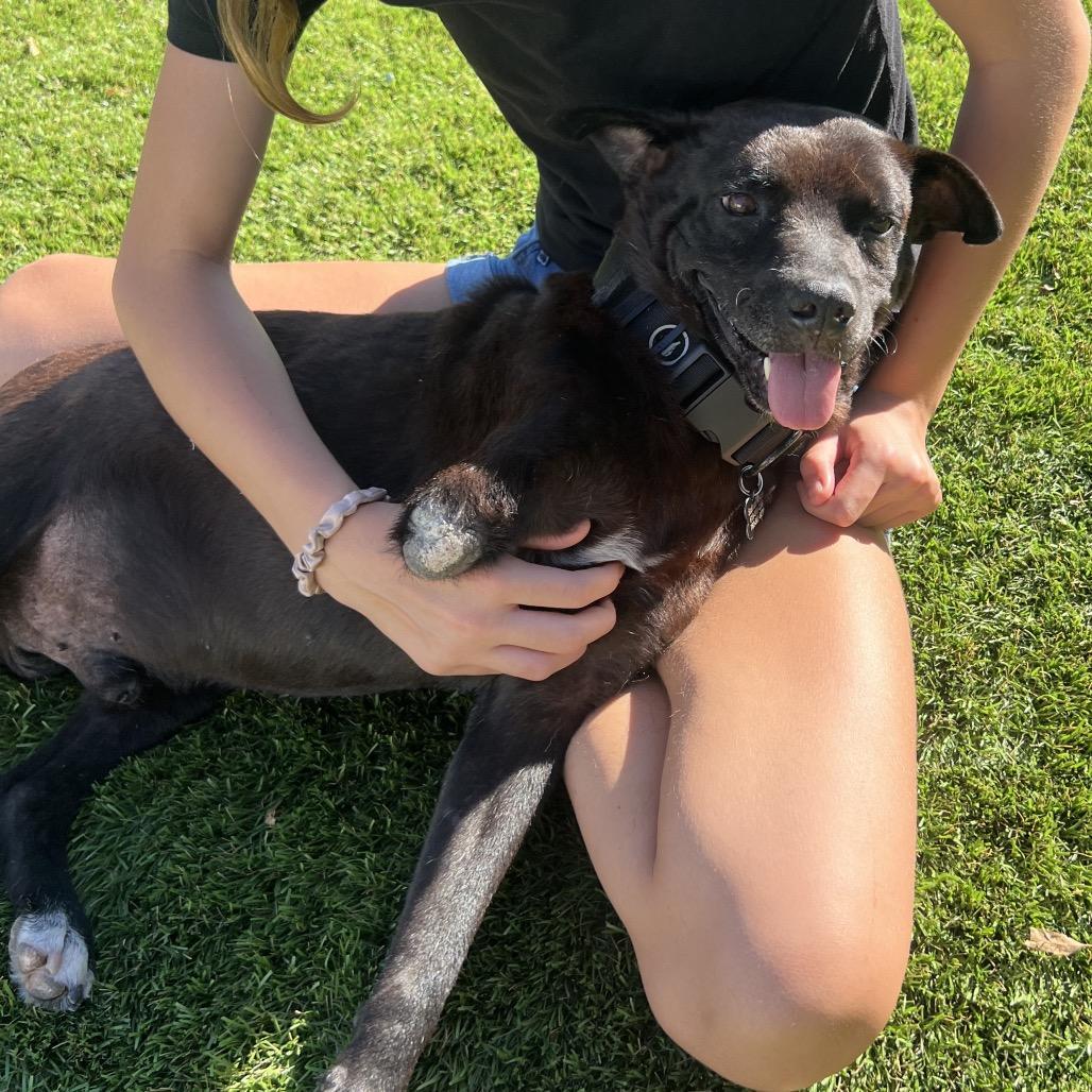 Lieutenant Dan The Tri