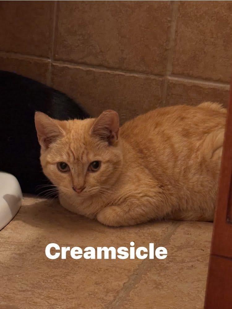 Creamsicle