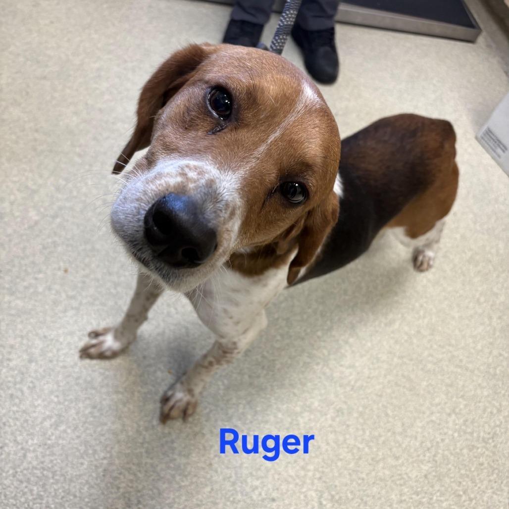 Ruger