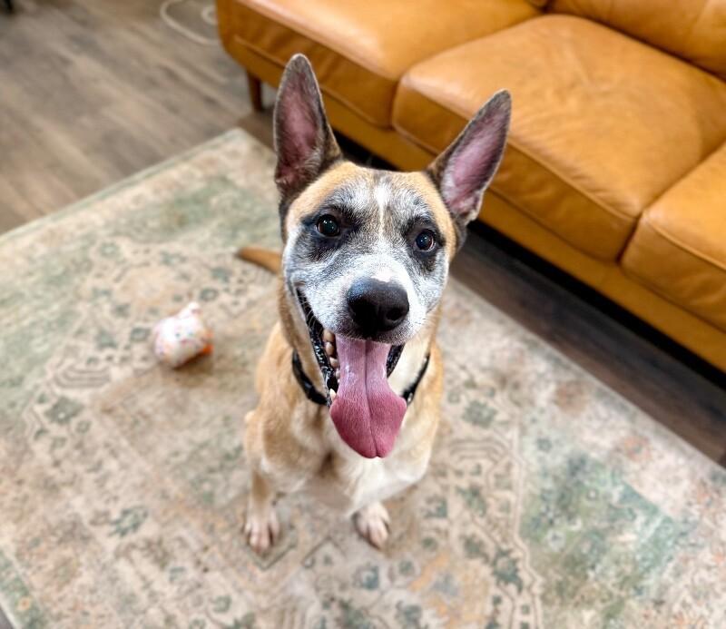 Kaiser Cruz Ready For