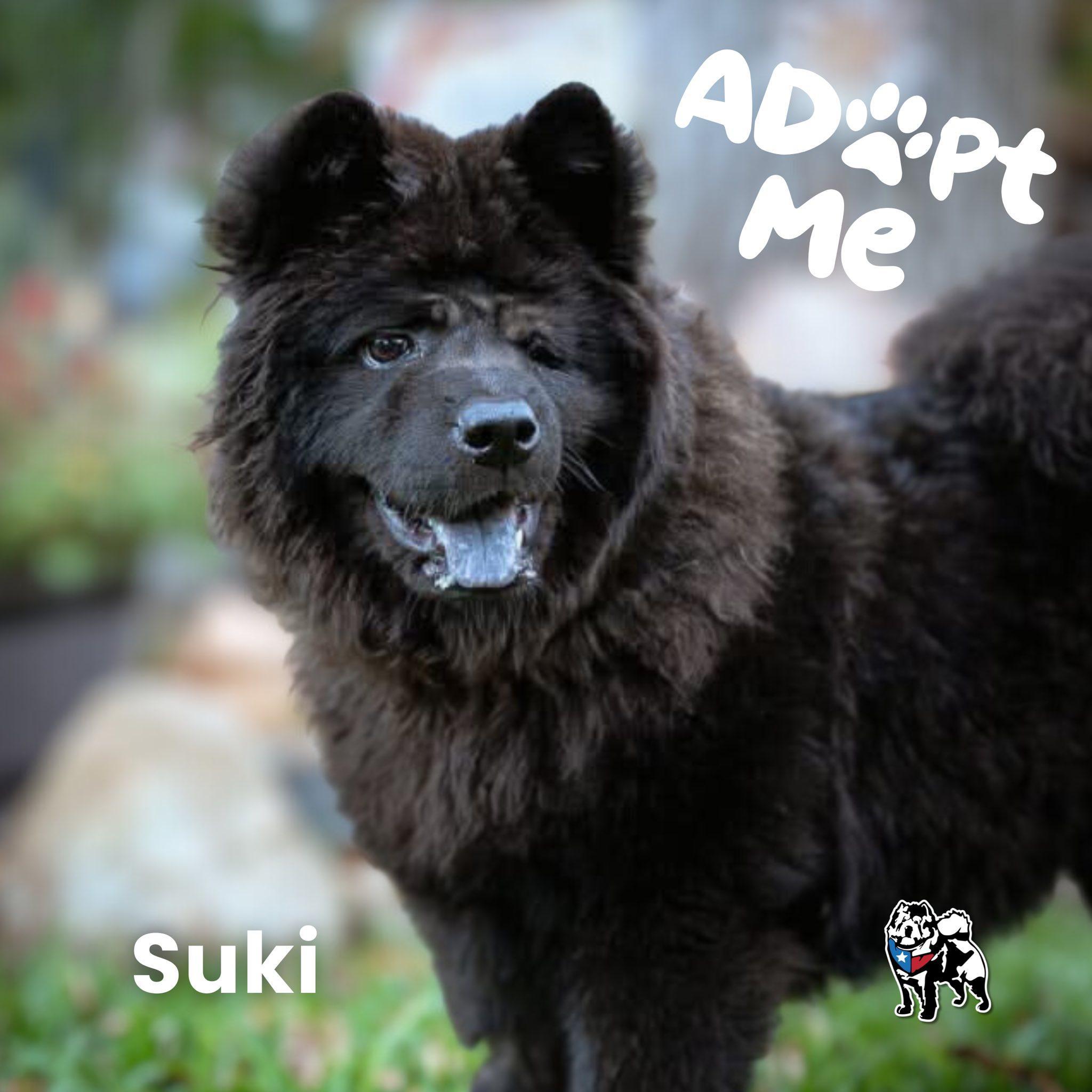 Suki