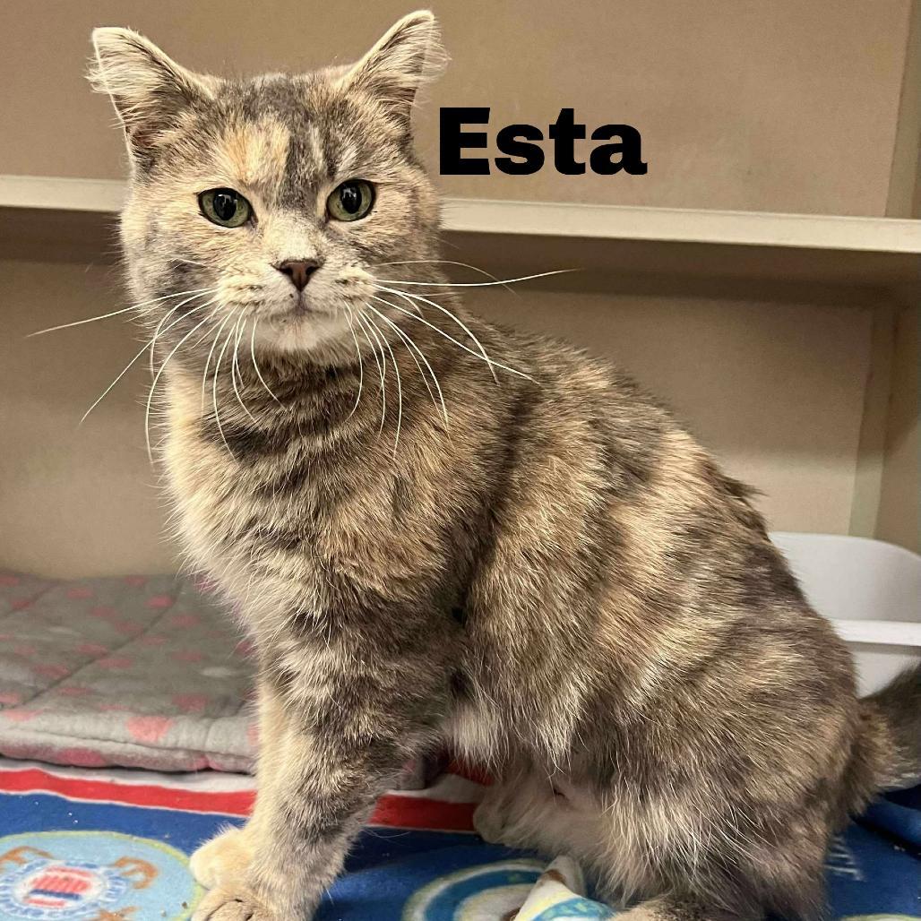 Esta