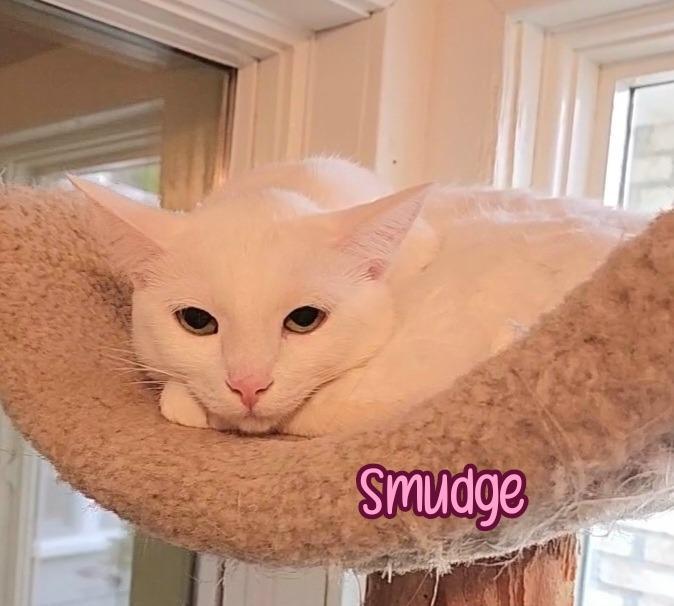 Smudge