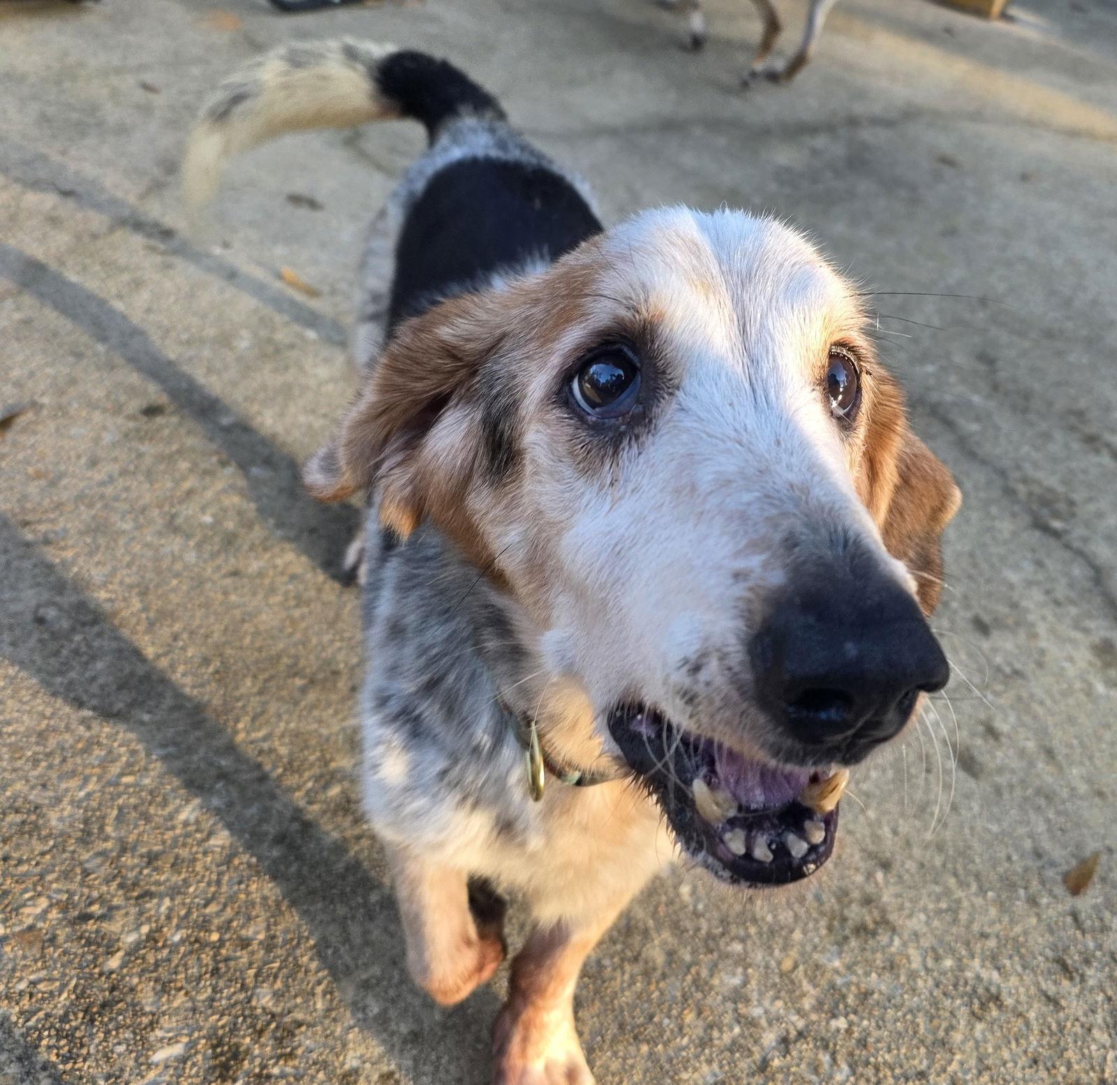 Maxus Haven Bonded With