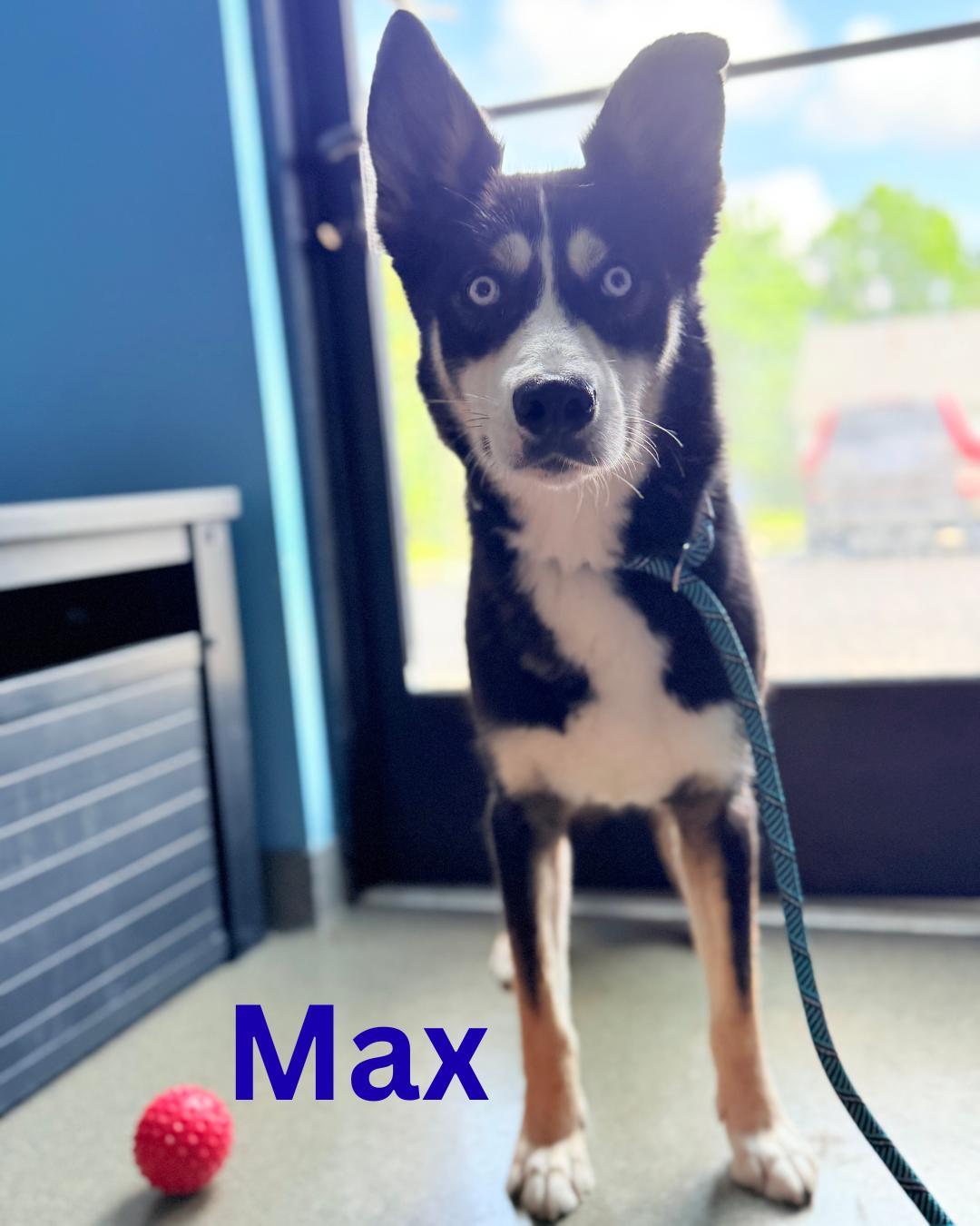 Max