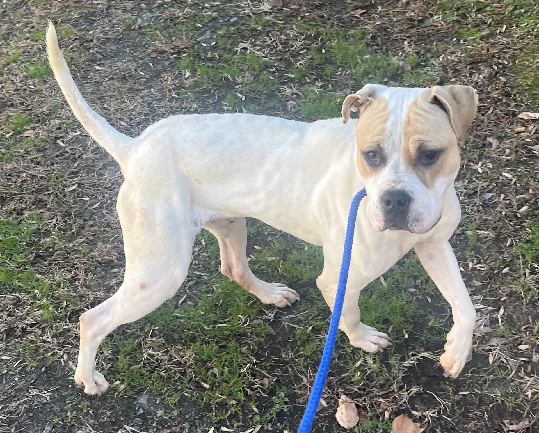 Frosty Beautiful Young