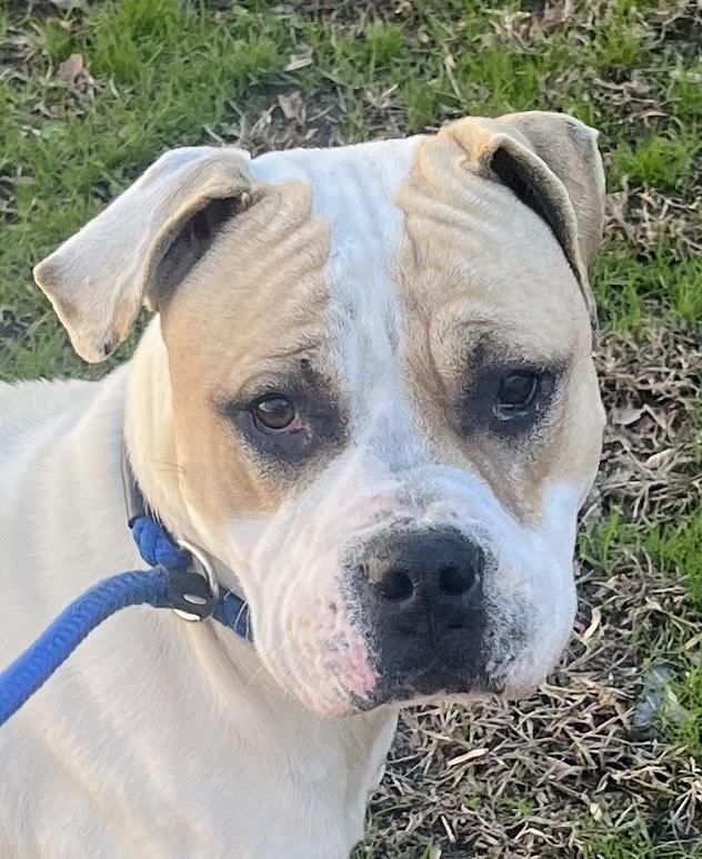 Frosty Beautiful Young