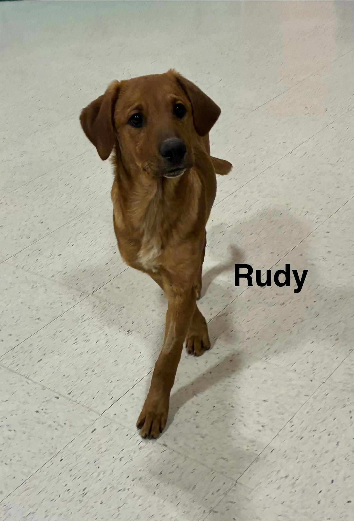 Rudy photo 1