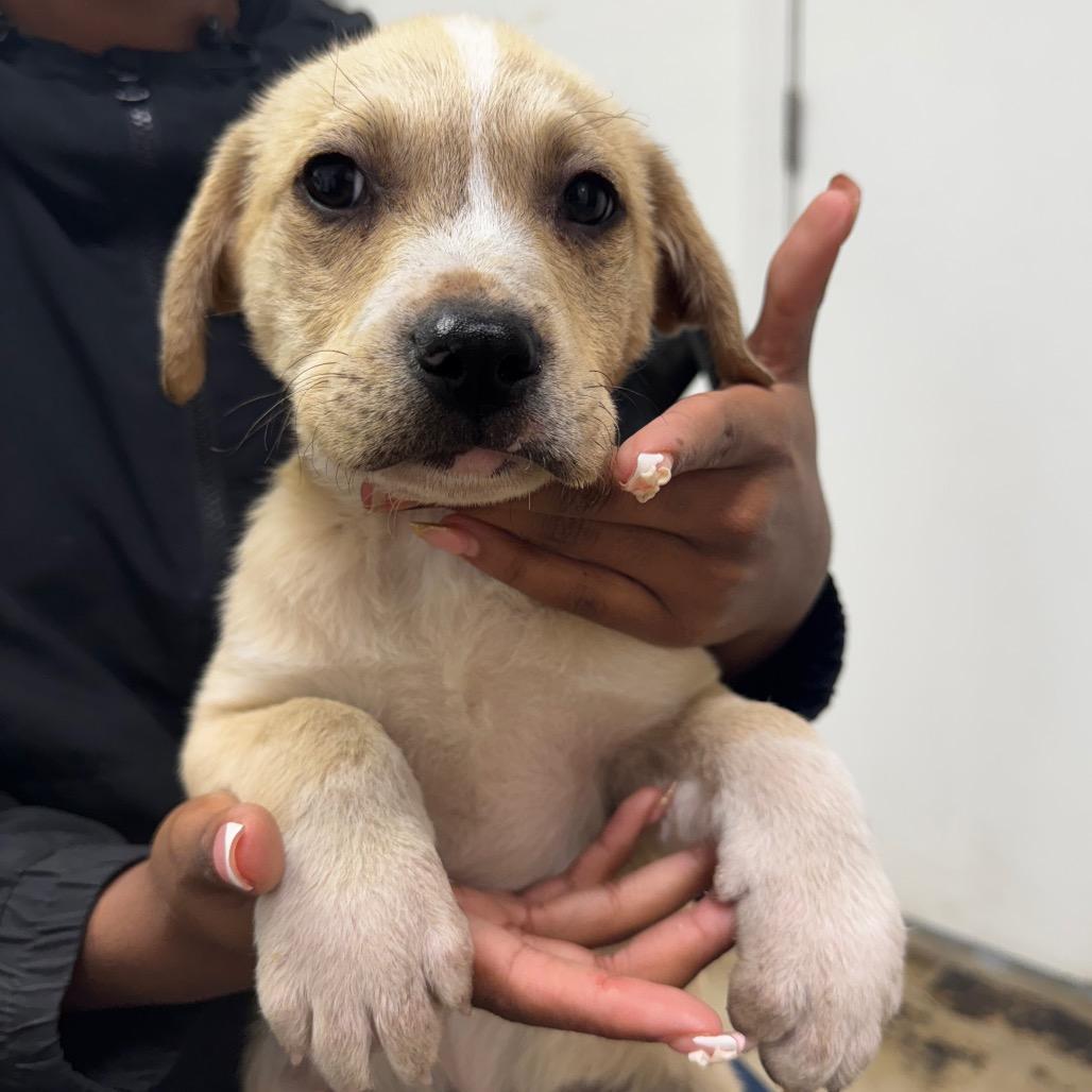 Trinidad Chambliss photo 1