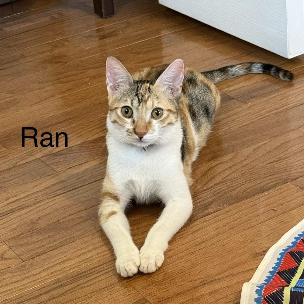 Ran