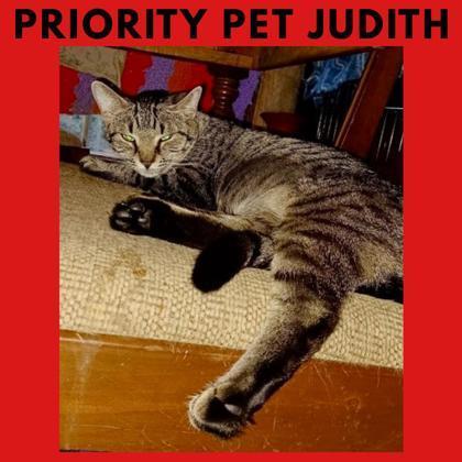Judith `a Priority Pet`