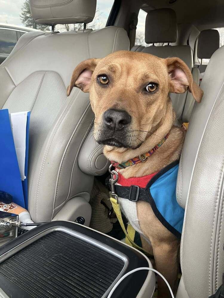 Minnie Mouse photo 1