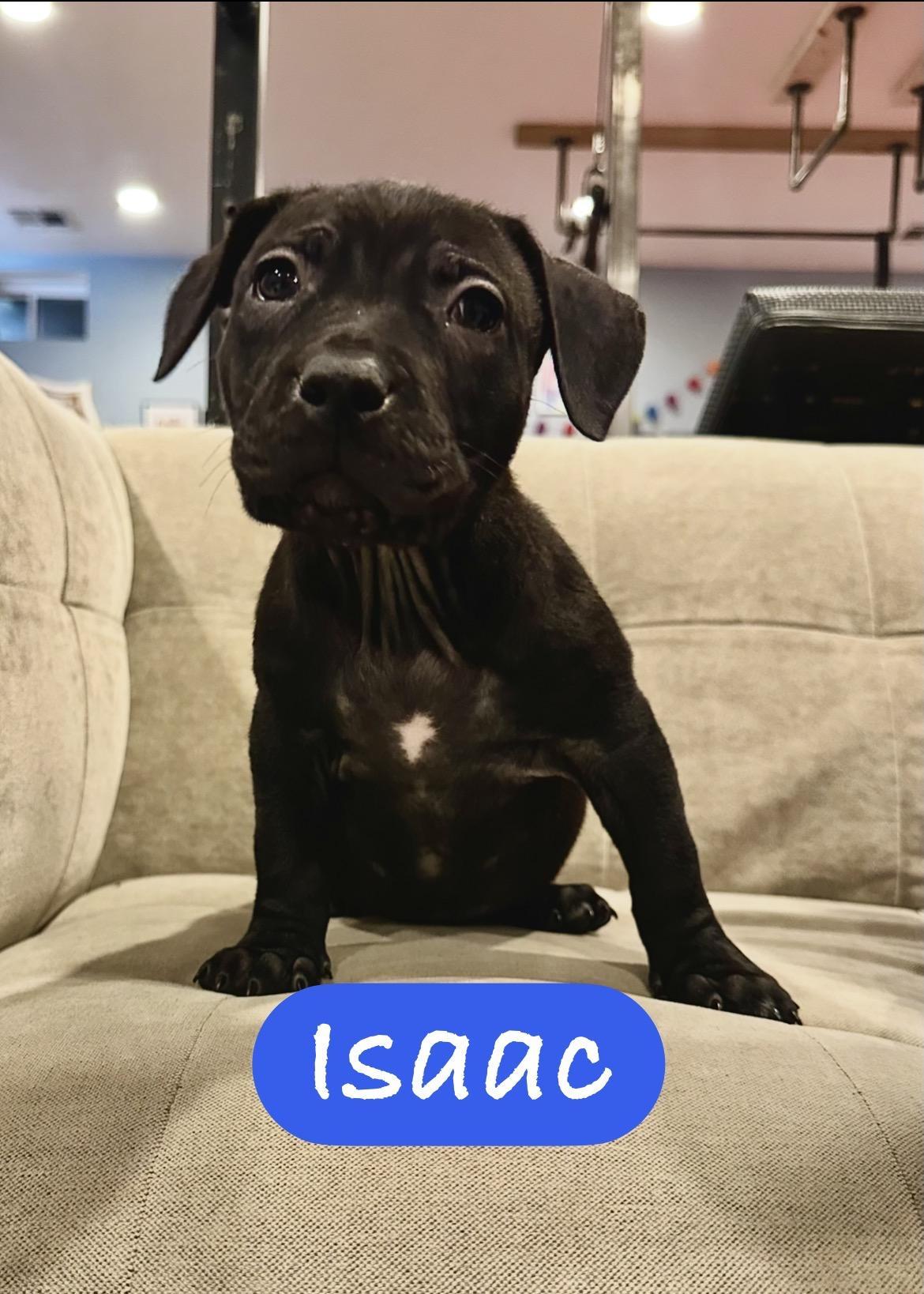 Isaac