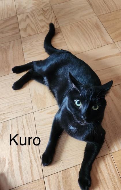 Kuro photo 1