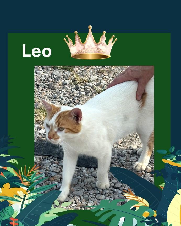 Leo