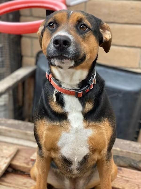 Cashmeremodesto Ca Crosspost