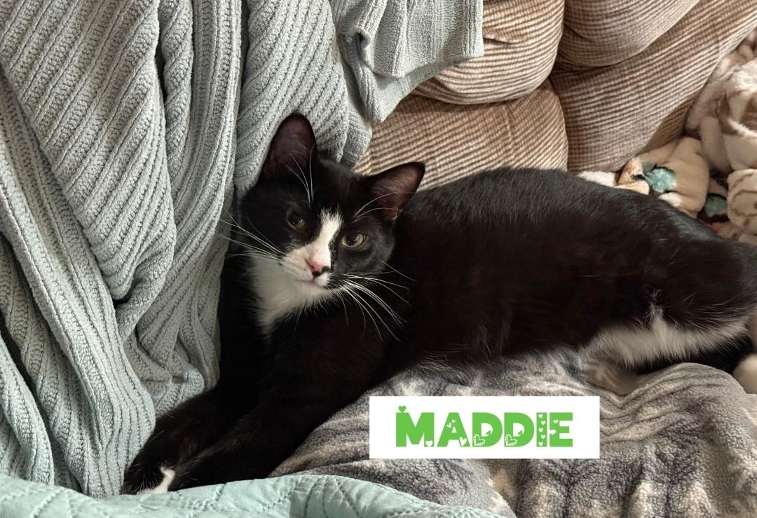 Maddie