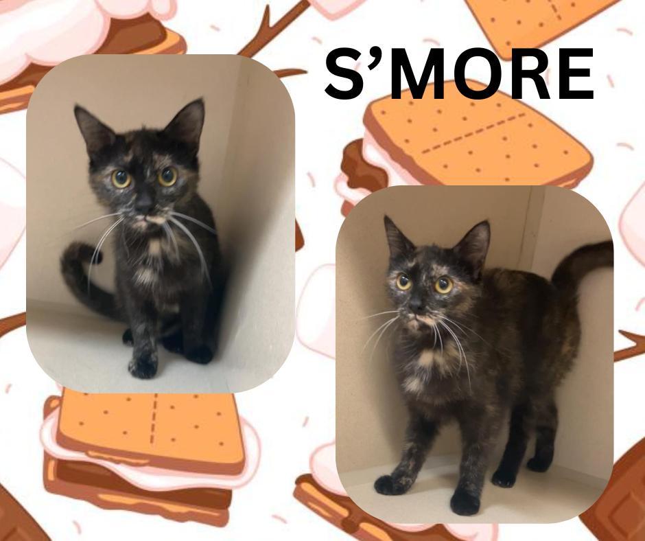 S'mores