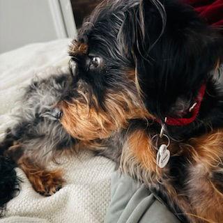 Nutmeg {coming Soon}