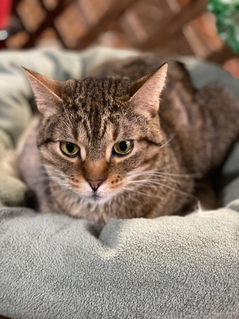 Kerri