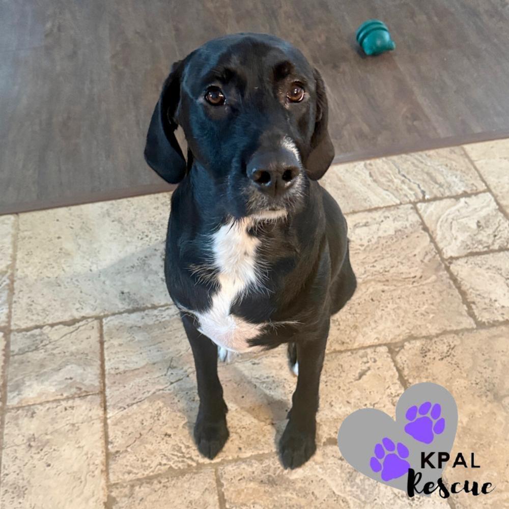 Jose Hildaâs Little