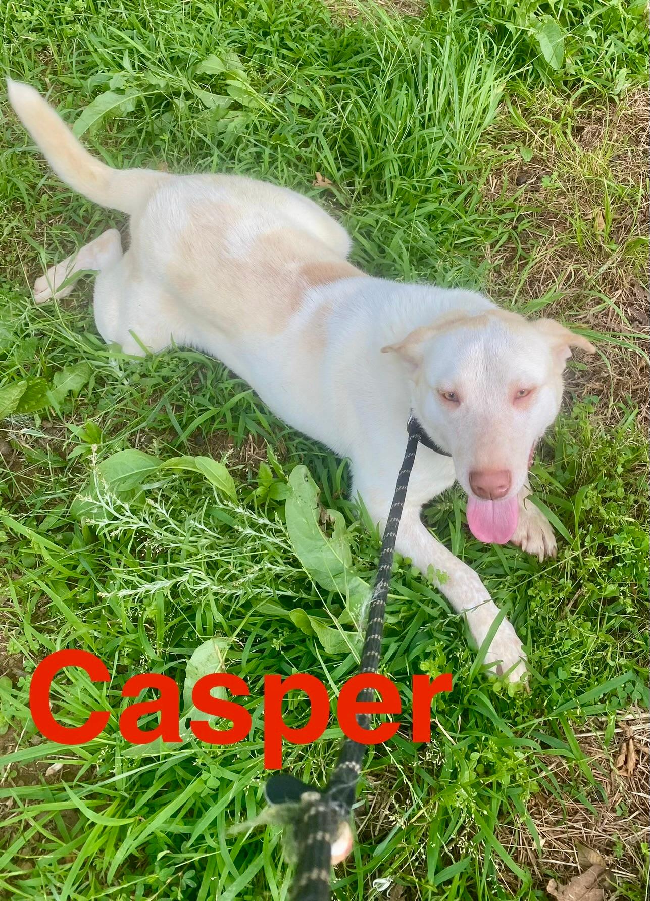 Casper