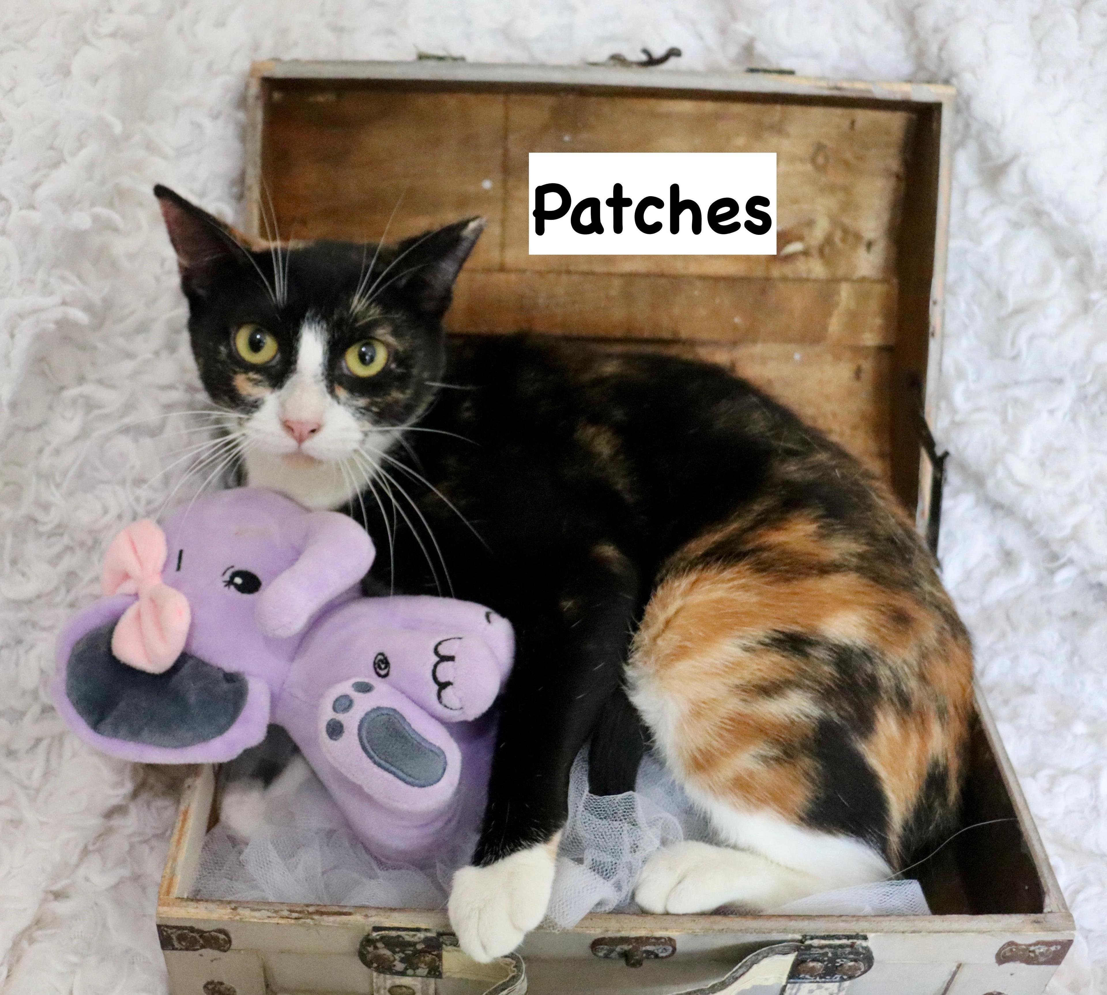Patches