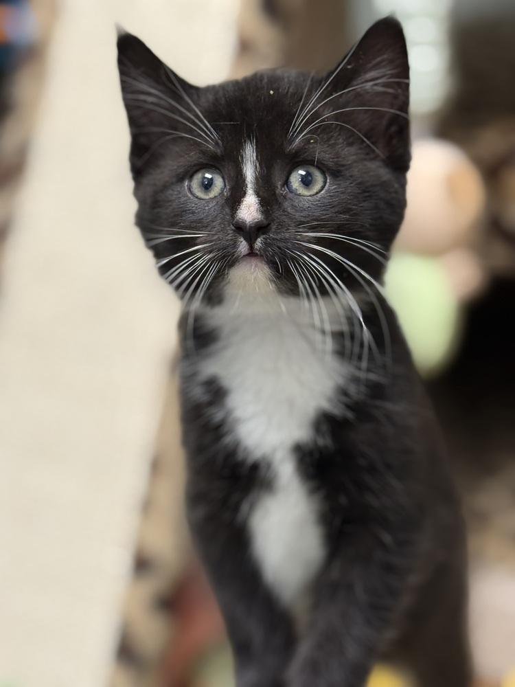 Lala Orange Rainbow Brite