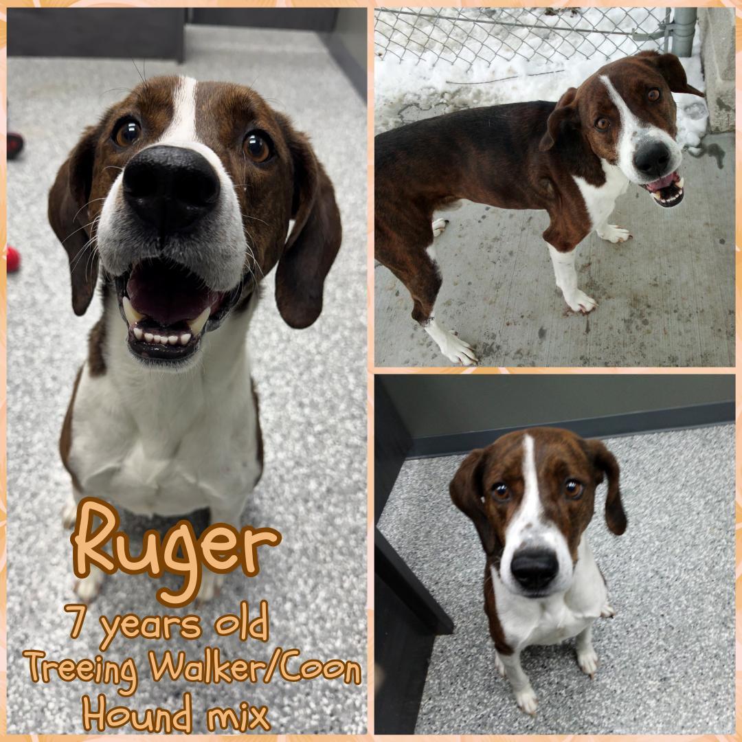 Ruger