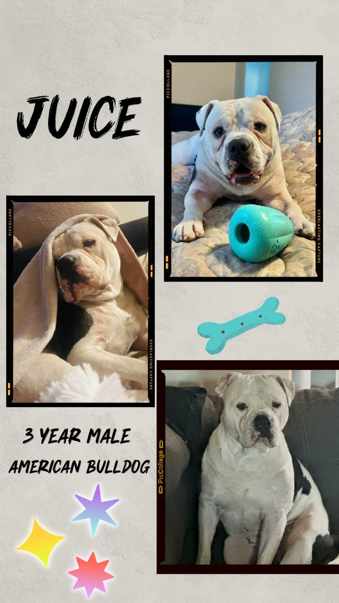 Juice– Year Male
