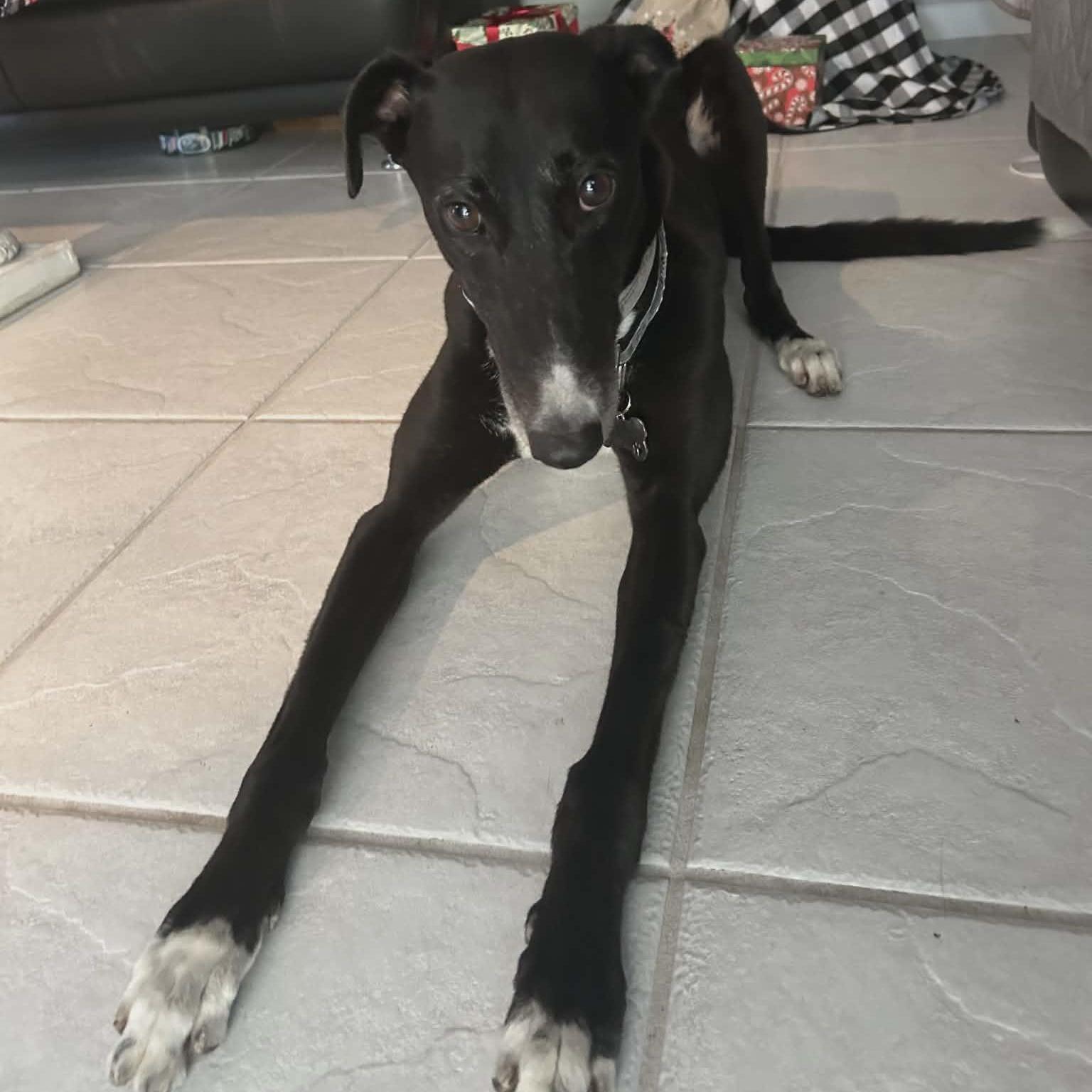 Clooncashel Gort photo 1