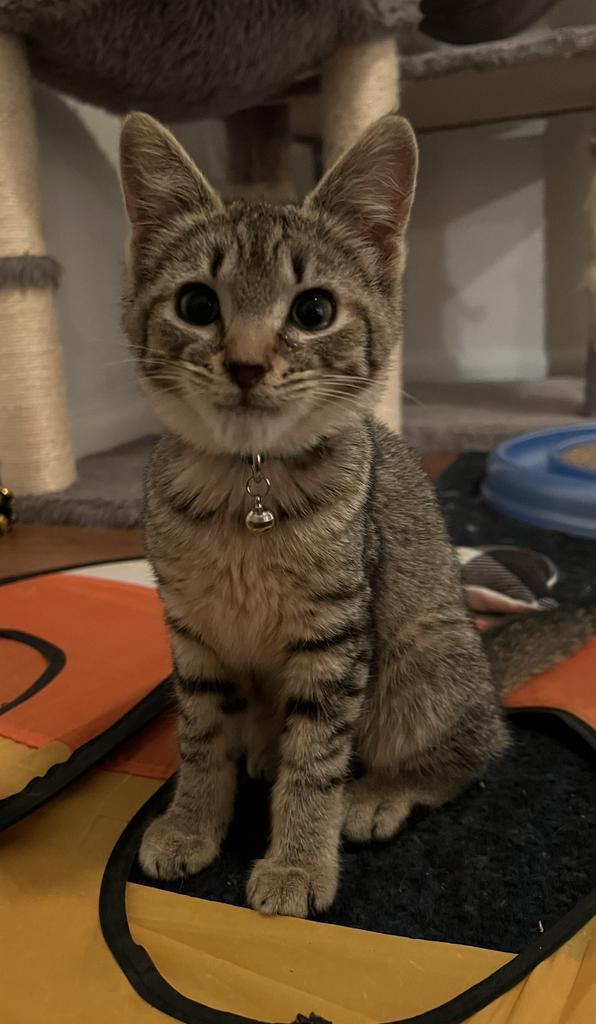 Karen Walker photo 1