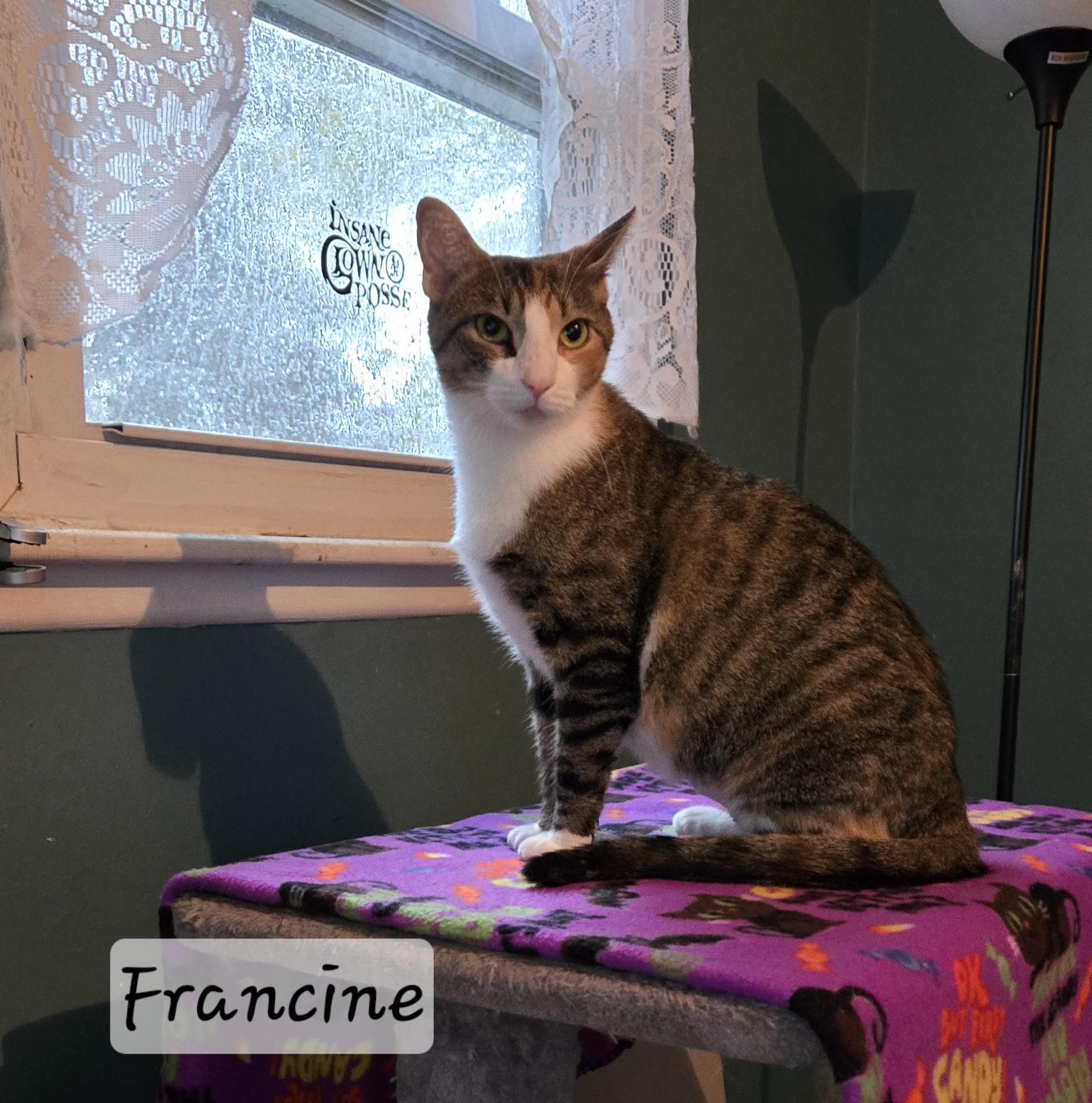 Francine photo 1