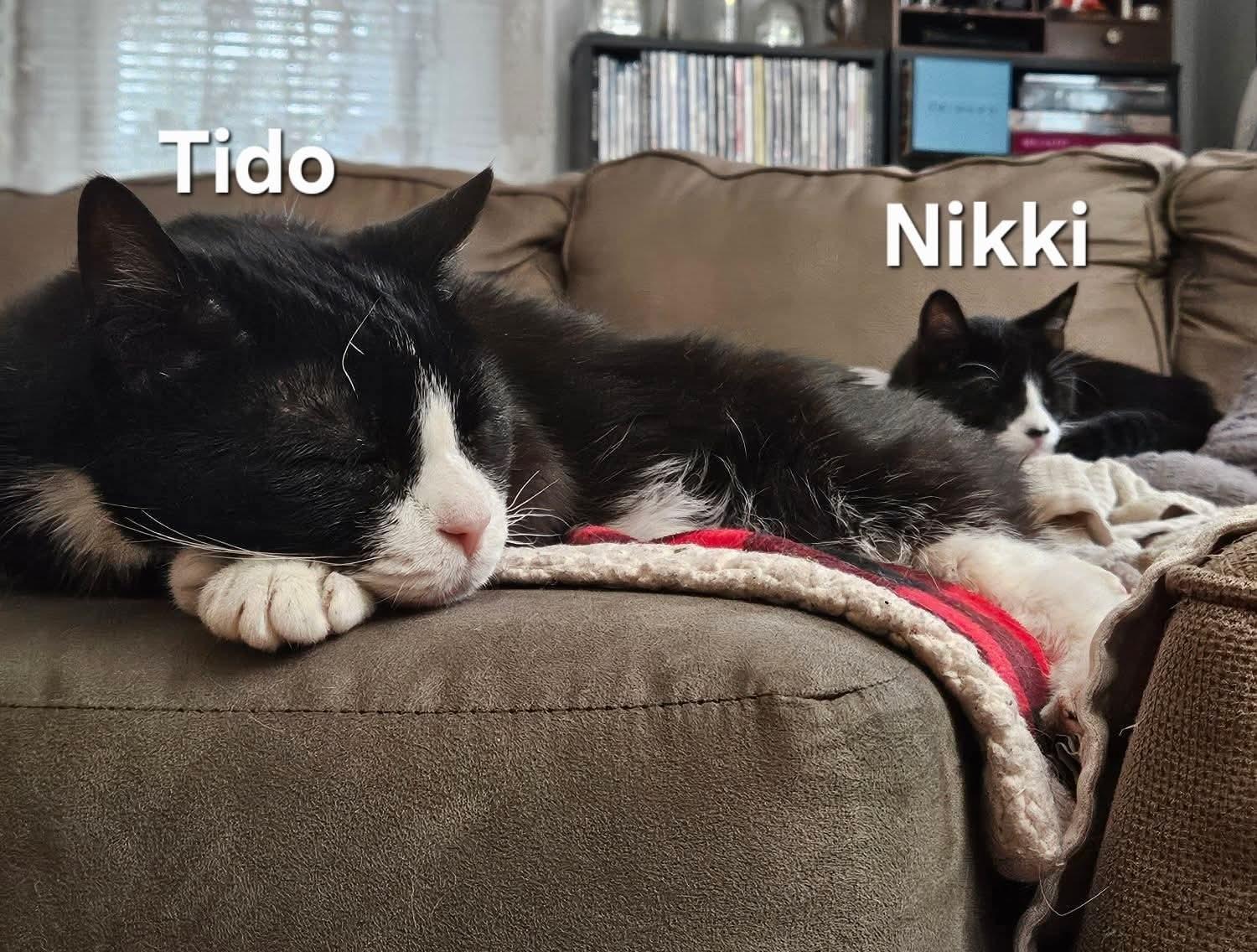 Nikki & Tido