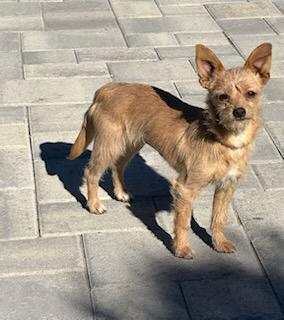 Stella And Bella Norwich