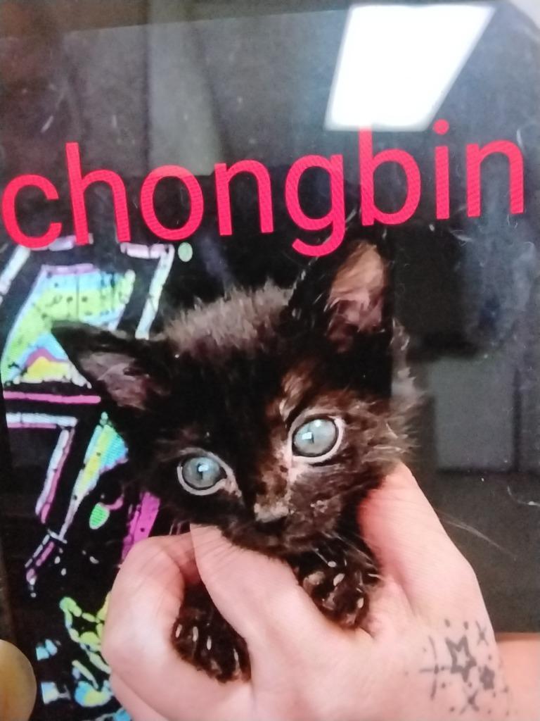 Chongbin