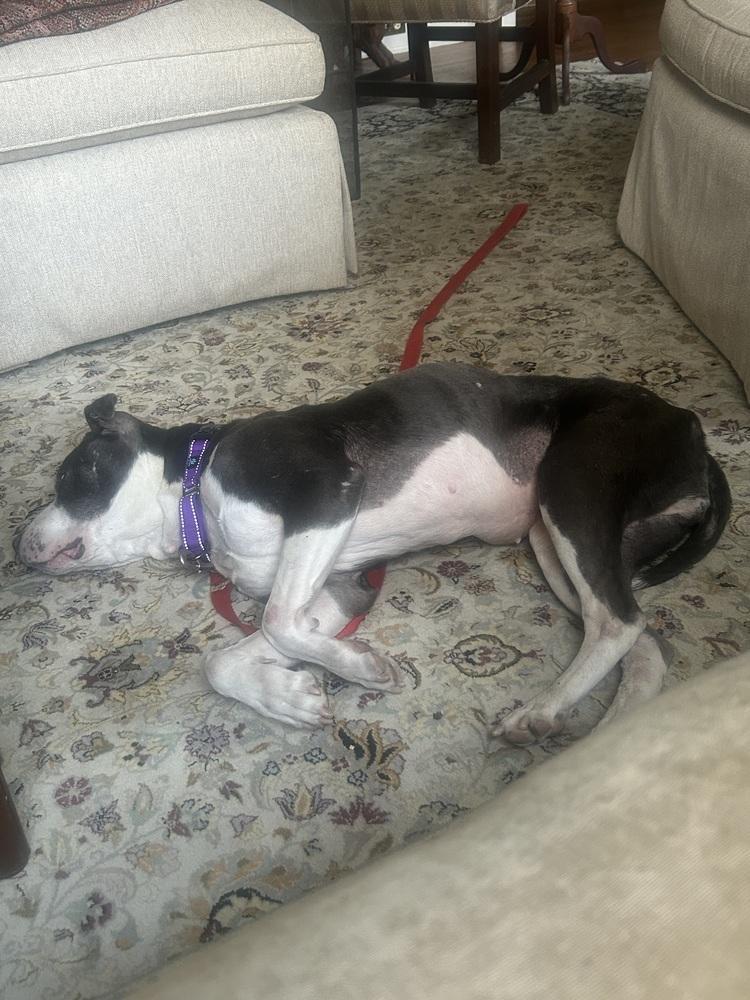 Sabrina The Sweetheart