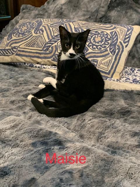 Maisie R. Courtesy Listing