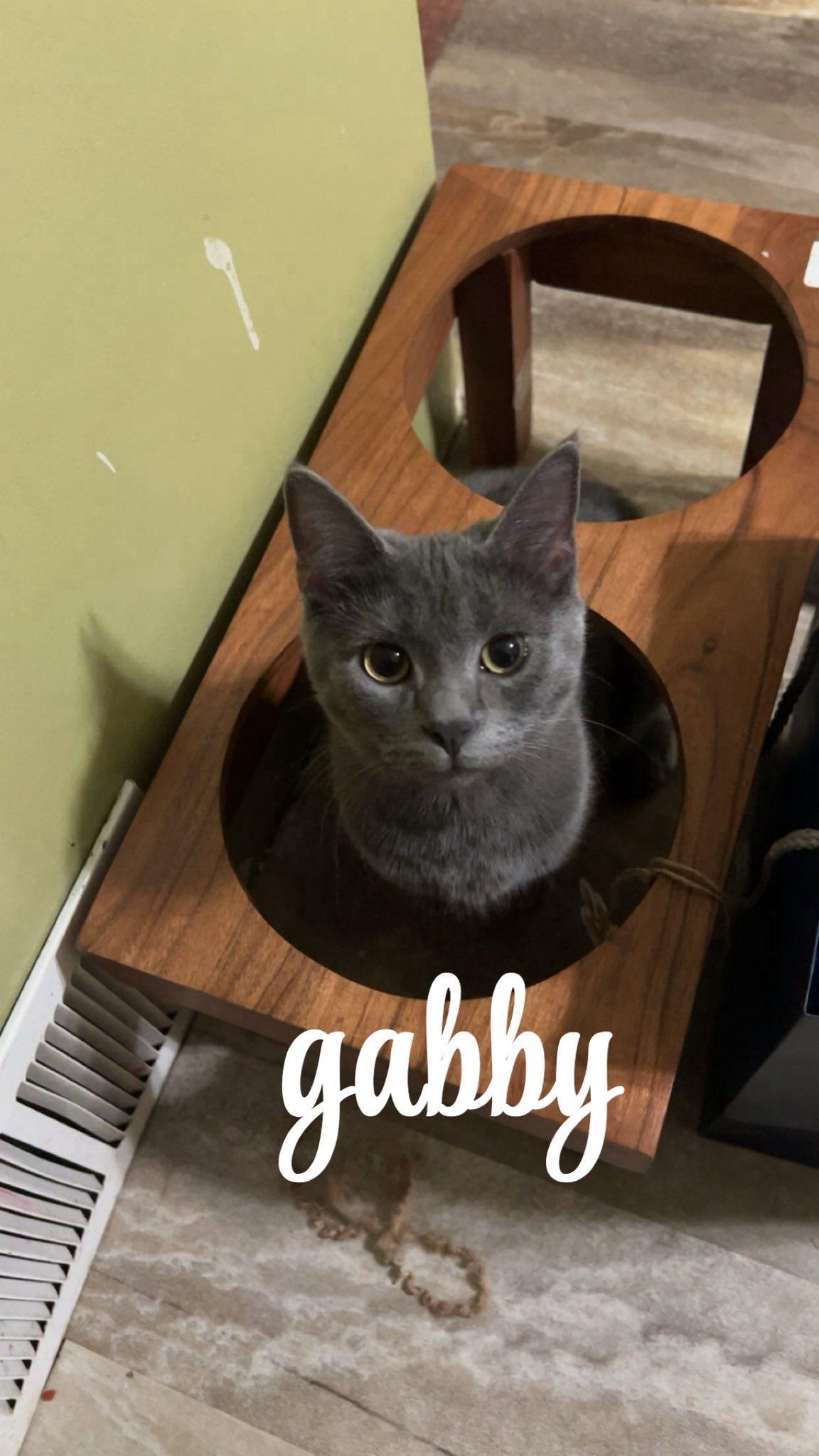 Gabby