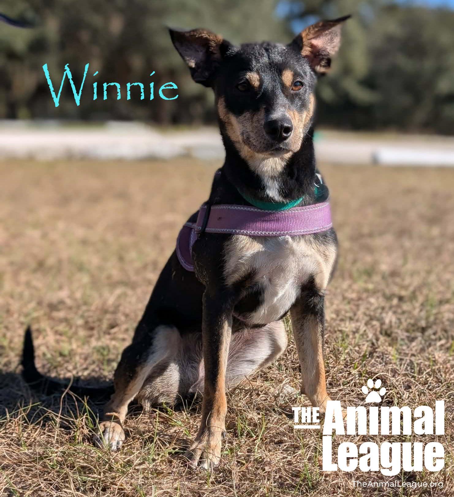 Winnie