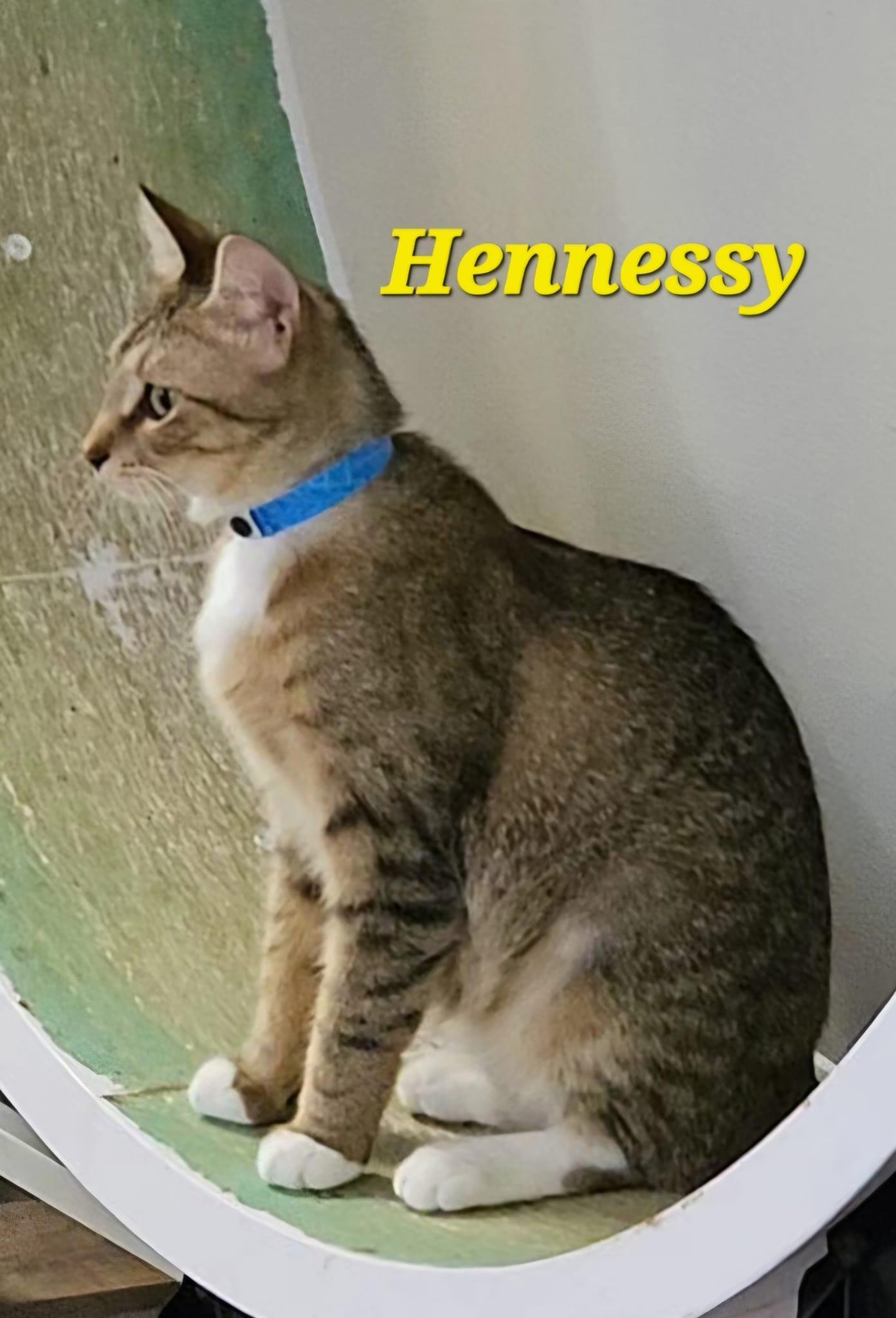 Hennessey