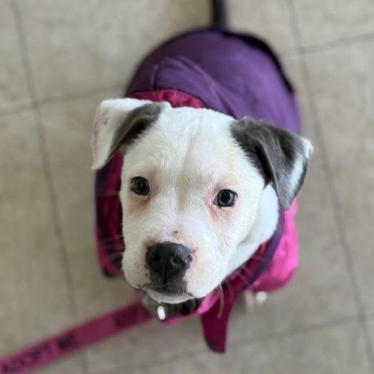 Charlotte Aka Charlie Girl