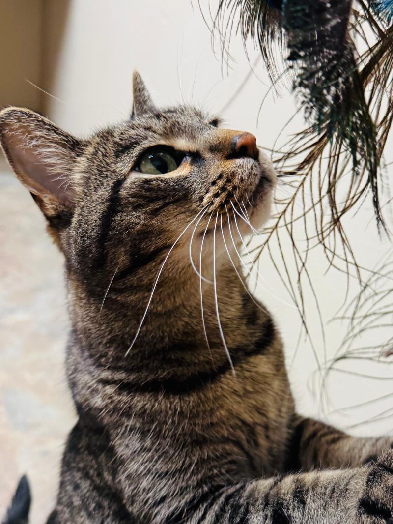 Burt Meet At Ave photo 1