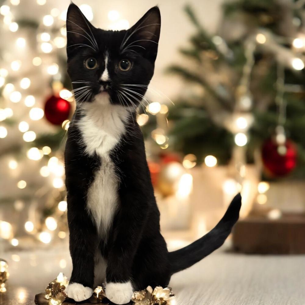 Lala Orange Rainbow Brite