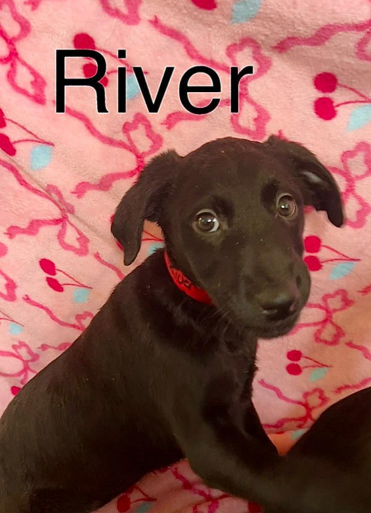 River