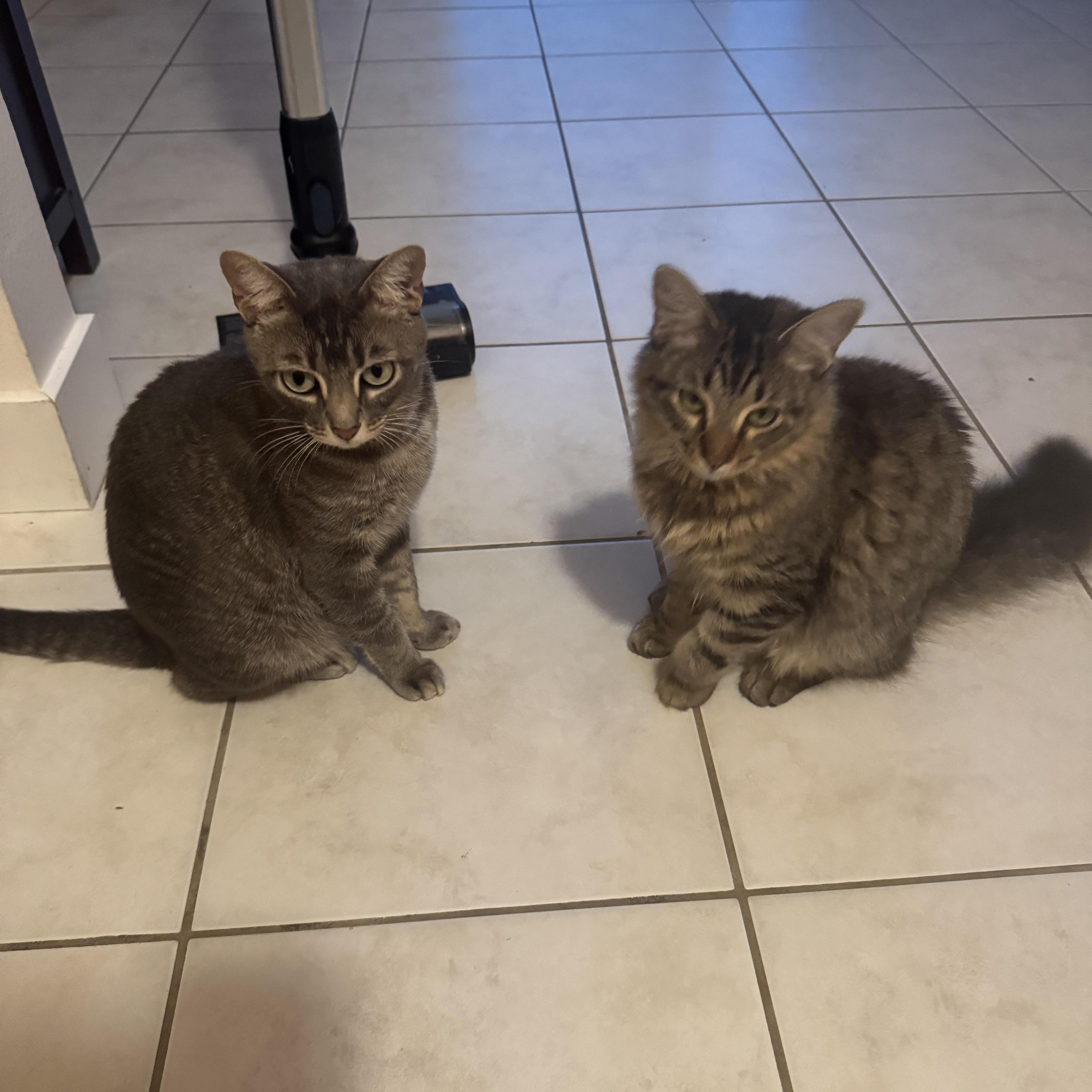 Willie & Ocean Bonded