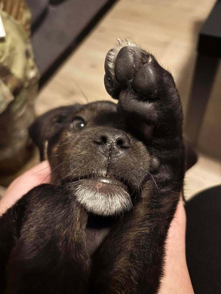 Supernatural Crew Dean