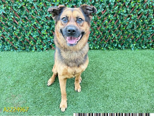 S.o.s Won't Last Long